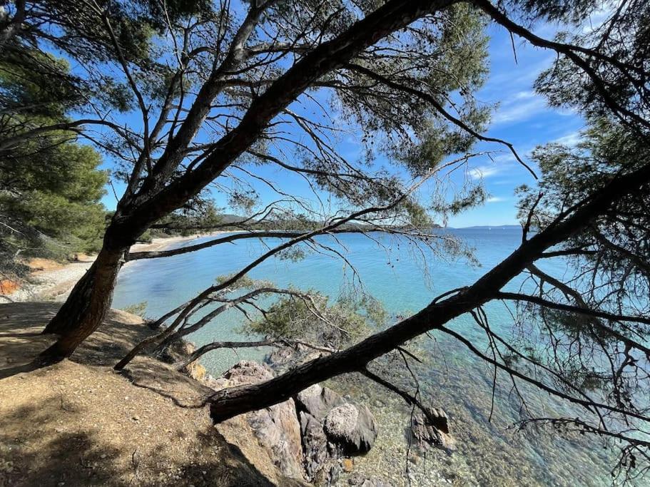 Appartement Plage Piscine Et Tennis Inclus La Londe-les-Maures Esterno foto