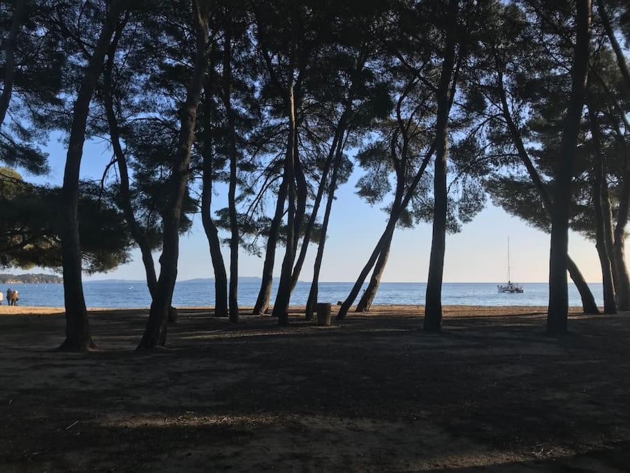 Appartement Plage Piscine Et Tennis Inclus La Londe-les-Maures Esterno foto