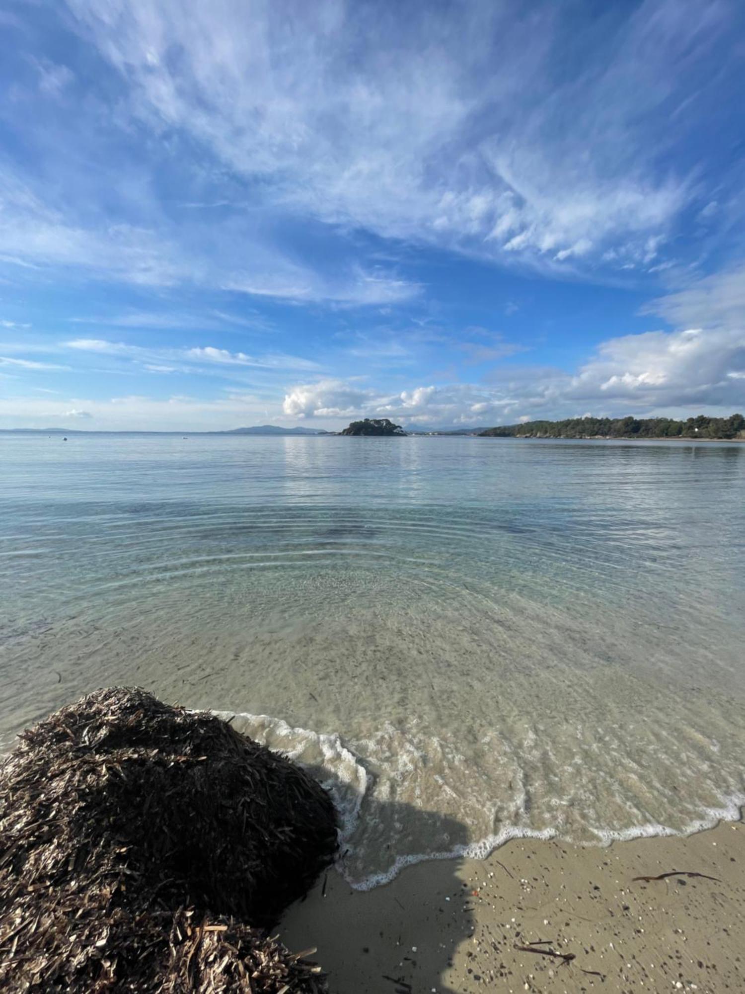 Appartement Plage Piscine Et Tennis Inclus La Londe-les-Maures Esterno foto