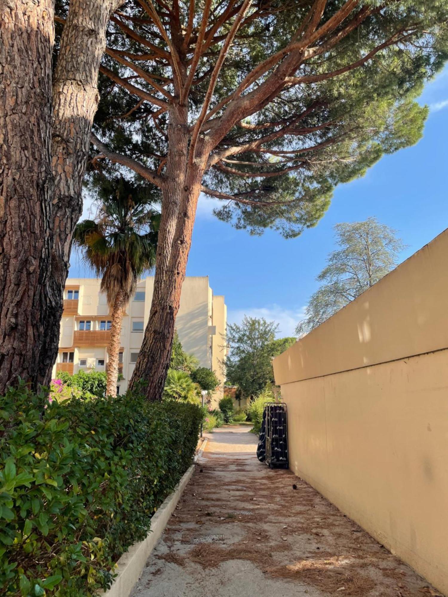 Appartement Plage Piscine Et Tennis Inclus La Londe-les-Maures Esterno foto